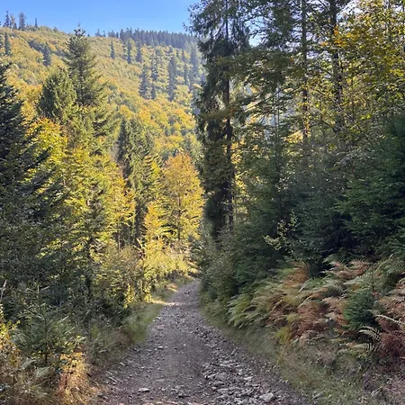 Terra Teresa Homestay Kocierz Rychwaldzki