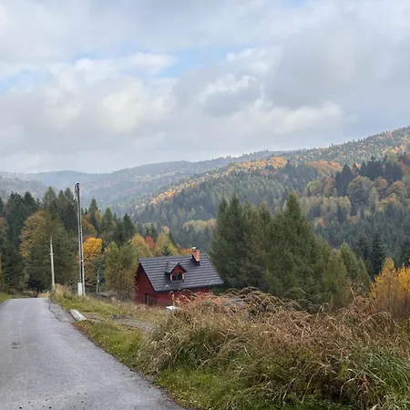 Terra Teresa Kocierz Rychwaldzki
